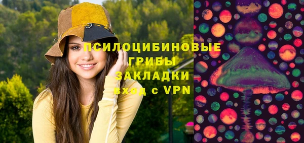 ГАЛЛЮЦИНОГЕННЫЕ ГРИБЫ Вяземский