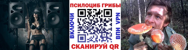 Псилоцибиновые грибы Magic Shrooms  Мценск 