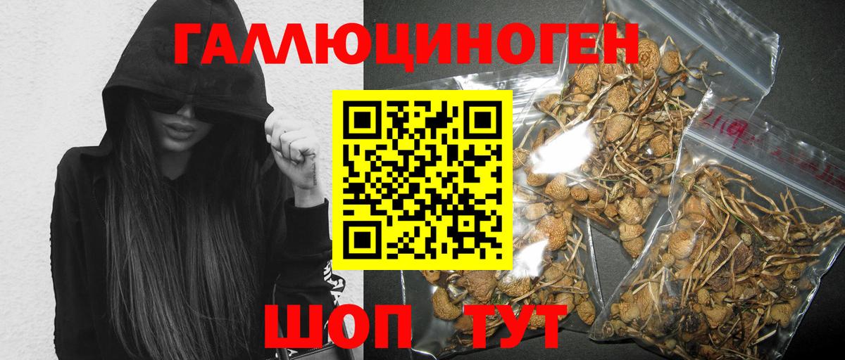 Псилоцибиновые грибы Psilocybe Мценск