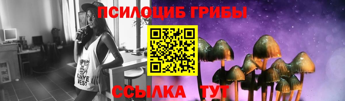 Псилоцибиновые грибы Cubensis  Мценск 